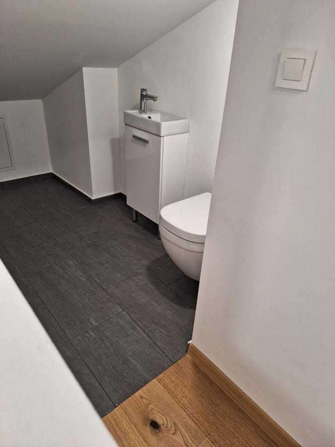 Guesthouse Flower Любляна Екстериор снимка